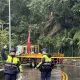 雙北雷雨狂炸！新莊山坡坍方路樹倒塌　警火速處理