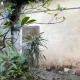 狠男挖出鄰居雙眼！受害者父曾是「地方名人」　店面是網紅景點