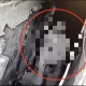 影/蜘蛛盜闖空門偷92萬金飾名錶　警調電眼人贓俱獲