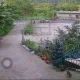 五峰露營區比特「開撕」！飼主拔狗落跑　浪浪遭咬8洞