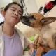 米可白愛犬胃癌！遇路人厭惡喊「都沒有肉」　理智線爆炸