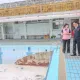 青鳥崩潰了？　網酸張善政蓋社宅要炒房反遭圍剿