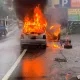 南投鹿谷驚見火燒車！「整輛狂燃」焰球畫面直擊