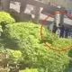 影/火爆男北車狠嗆無辜老翁　路人勸架竟遭毆