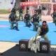 馬防部60週年慶　精彩操演結合地方文化