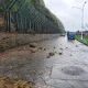 雨勢釀禍！石門十八王公廟路段土石崩落　交通一度中斷