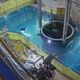 日媒關注台灣非核政策 產業界憂供電穩定