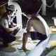 影/鐵達尼號之人狗情未了？高雄男為救跳海愛犬「You jump I Jump」