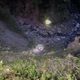 高雄男採野菜墜谷慘斷魂　 警消搜山尋獲遺體頭變形