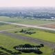 航空城樹木移植遭曲解　桃市府：無列管品種、依法處置無濫伐