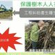打臉綠營自己人？週刊爆航空城珍貴樹木遭砍　他秀照片嗆：看圖說故事