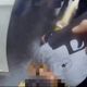 天道盟成員疑私藏槍械　大批警力圍捕拔槍壓制