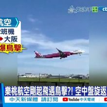 【每日必看】樂桃航空剛起飛遇鳥擊?! 空中盤旋返航小港重飛 20250714