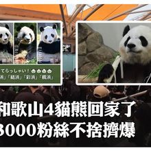 櫻花妹又哭了!日本和歌山縣4隻大貓熊"租約到期"踏上回家路 3000人塞爆"搶看最後一眼"｜大陸360°