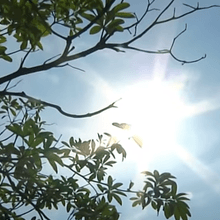 熱到發病！台中婦騎車橫紋肌溶解　醫：一定要多喝水