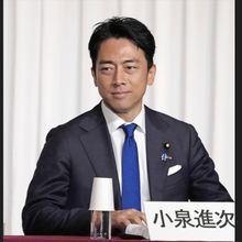 自民黨總裁選舉民調曝光！小泉進次郎暫居第一　高市早苗緊追其後