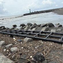 台灣海岸成光電墳場！館長掀貓膩喊「報應」