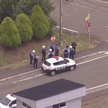 日北海道驚傳野熊襲人事件　派報員慘遭攻擊身亡