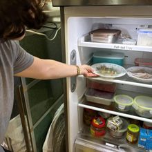 2024年食品中毒破9千人！諾羅病毒、仙人掌桿菌最多