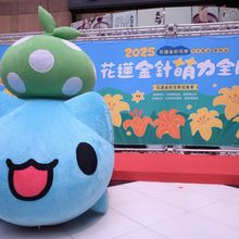 花蓮雙山金針花季啟動　推優惠套票搶攻暑期旅遊商機