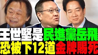 籲823撤案被圍剿 介文汲:王世堅是民進黨岳飛 恐被下12道金牌賜死