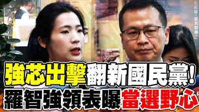 【全程字幕】"強芯出擊"選黨魁!羅智強領表曝"當選野心":蜜獾精神衝鋒陷陣 徐巧芯揭終極目標:不只2026..更要2028