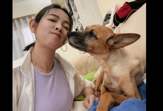 昔被侯友宜「叫錯名」成迷因！米可白愛犬不敵胃癌病逝