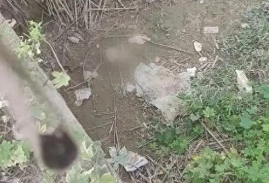 影/帶孩跑步到一半…陸寶媽田間溝渠驚見「白色頭骨」嚇壞