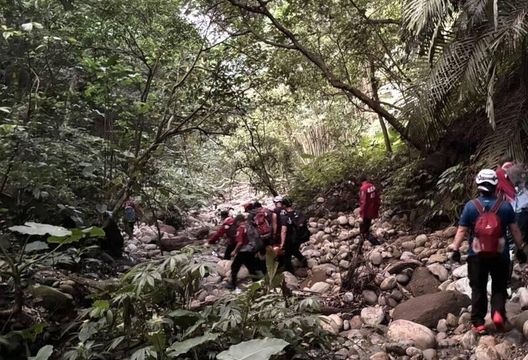南投東照山傳山難！59歲男獨攀墜10米深谷　脊椎重傷送醫