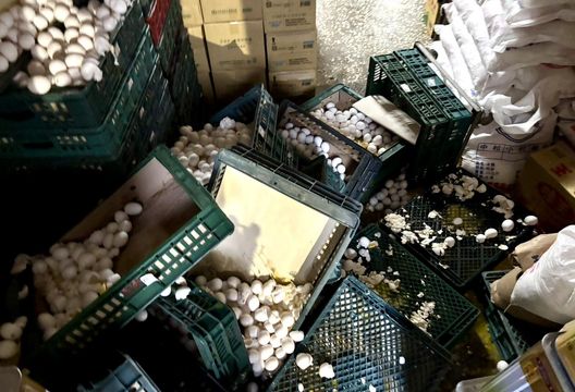 影/雜貨店兄妹鬩牆「為蛋」大打出手　客人無辜遭殃