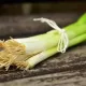 食道癌7年沒復發靠1菜！醫曝能「抑制3癌症」 揭6大好處