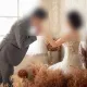 大型藥局老闆找媳婦要求「藥劑師」身分　附送上億房產
