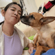 昔被侯友宜「叫錯名」成迷因！米可白愛犬不敵胃癌病逝
