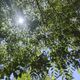 把握好天氣！5縣市熱飆36度　週末變天「雨擴全台」