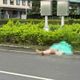土城曳引車擦撞機車　女騎士遭輾爆頭當場死亡
