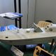 土、洋水面無人載具同台較勁　3國產無人艇蘇澳外海實測