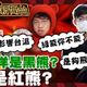 鯊鯊主播高級酸/沈伯洋是黑熊還是紅熊？街訪民眾噴爆了！