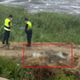 新北五股濕地驚見男屍！　移工抓螃蟹驚見遺體嚇壞報警