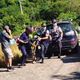 影/高雄塔拉拉魯芙隧道「虎頭蜂圍攻89歲嬤」　送醫搶救