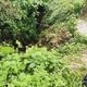 台中詭異焦屍案！身亡河邊的他竟疑似「先摔死」