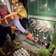 高雄02:13突停電！586戶被熱醒、險火警　台電：管線被拉到