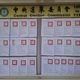 發「24藍委+1市長」罷免公告　中選會：投票日禁止競選活動
