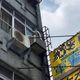 豐原一家五口命案新進展！2名犯嫌到案　檢方約談證人11名