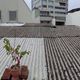 丹娜絲颱風掀老屋「石綿危機」！　專家急喊：恐釀肺癌