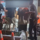 影/墾丁大街又演全武行！3地方人士沿街追打　遊客嚇壞