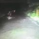 悲！南橫五口墜谷「慈父3次求救跪路邊」　人車同墜落