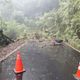 「直徑百公分」樹幹擋路　大雪山唯一聯外道路中斷