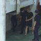 柯文哲指控「作偽證」！林欽榮駁斥反控攻擊證人