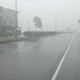 楊柳巔峰之姿登陸！南部風雨正要開始　北部小心角隅效應