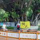 京華城案攻防「騎飛輪收300萬」　小草集結吼：柯文哲清清白白